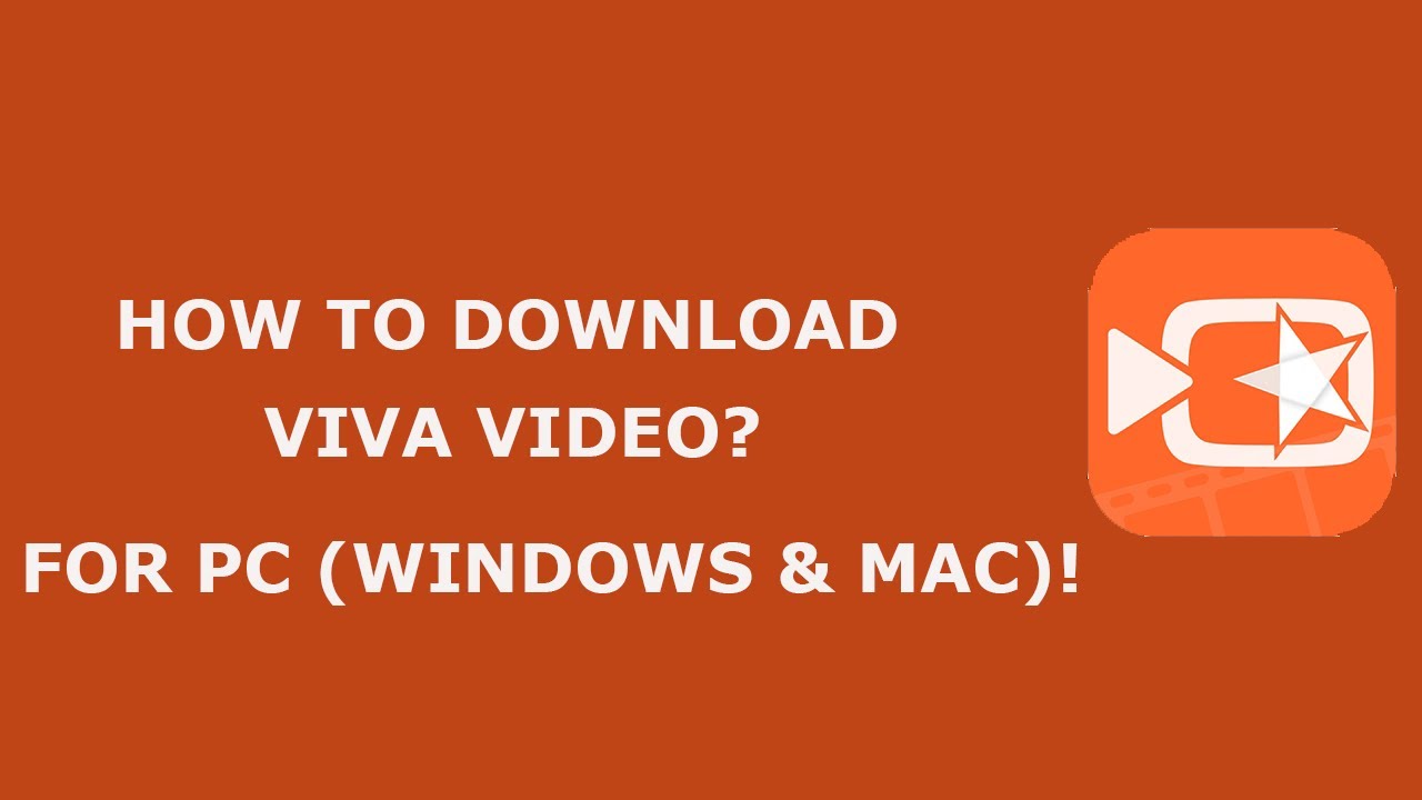 viva video editor online pc